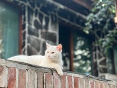 -北京水岸山吧度假村(雁栖镇店)