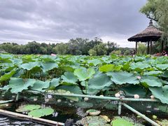 -承德避暑山庄景区