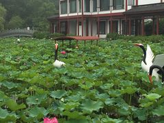 景点-焦山风景区