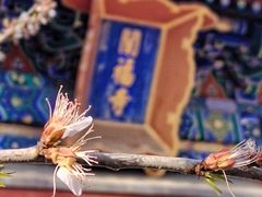-东华门大街小区