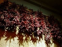 -左陕右甘(亚运村店)