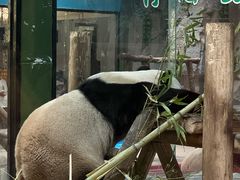 -栾川竹海野生动物园