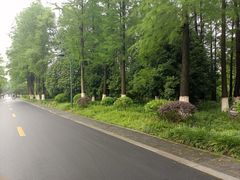 -西溪国家湿地公园