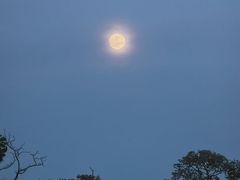 -火炉山森林公园