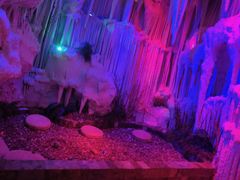 -水晶之星洗浴温泉汗蒸