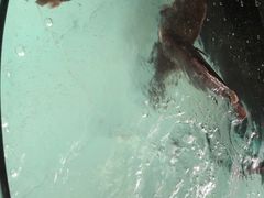 -东豪园林海鲜酒家(南港路辅路店)