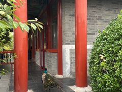 -有喜胶东小馆(超极合生汇太申祥和店)