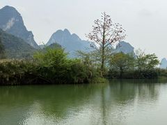 -明仕田园