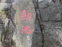 -莫干山风景区