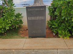 -临高角
