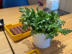 -川香煲(上海总店)