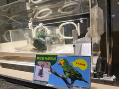 -广州长隆野生动物世界