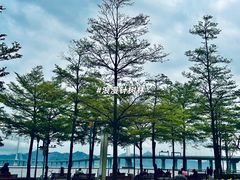 -深圳湾公园(南山区)