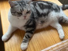 -小时光咖啡馆(开森度假森林店)
