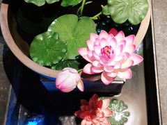 -呷哺呷哺 黄金牧场 (大港油田幸福广场店)