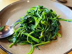 -松赞拉萨林卡酒店