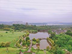 -张坝桂圆林公园