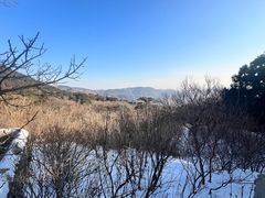 -香山公园