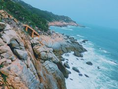 -广东惠东海龟国家级自然保护区