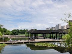 -洋湖国家湿地公园