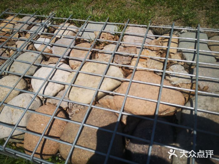 坝河休闲公园图片