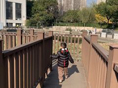 -苏州河梦清园环保主题公园