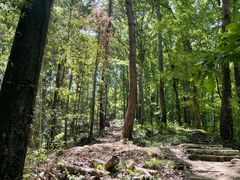 -素山寺森林公园