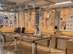 -眼镜直通车(体育东店)