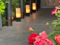 -蘇锦宴·淮扬菜烤鸭·小院(三元桥霄云路店)