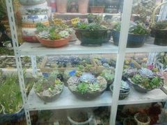 android_upload_pic-无锡文化工艺品市场(槐古路店)