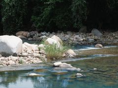 -海南霸王岭国家森林公园