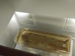 -荆州博物馆