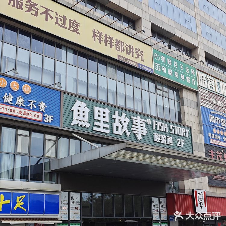 来吃鱼啦～