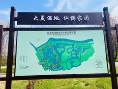 -盐城丹顶鹤湿地生态旅游区