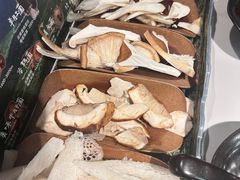 -芸山季·云南山珍菌火锅(南翔印象城MEGA店)