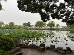 -无锡蠡湖国家湿地公园-蠡园