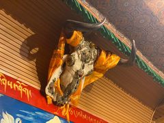 -吉祥圣雪藏餐