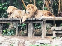 -广州长隆野生动物世界