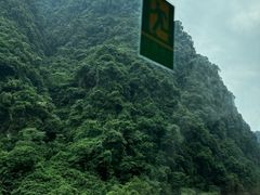-碧峰峡风景区