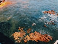 景点-北戴河碧螺塔海上酒吧公园