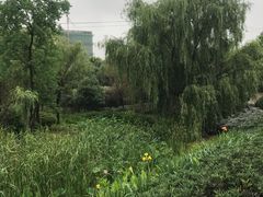 -滨湖塘西河公园