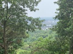 -雨花胜境