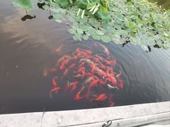 -苹果树下艺术餐厅(宋庄店)