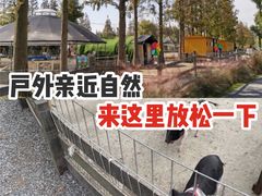 -前小桔亲子创意农场·草莓采摘·露营烧烤