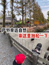 -前小桔亲子创意农场·草莓采摘·露营烧烤