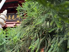-叩齿古寺