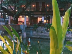 -喜洲吧·江畔老船厂·庭院餐厅(喜临院店)