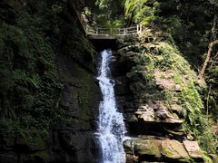 -碧峰峡风景区