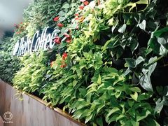 -Peet's Coffee皮爷咖啡(大学路店)