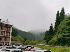 -武陵山森林公园